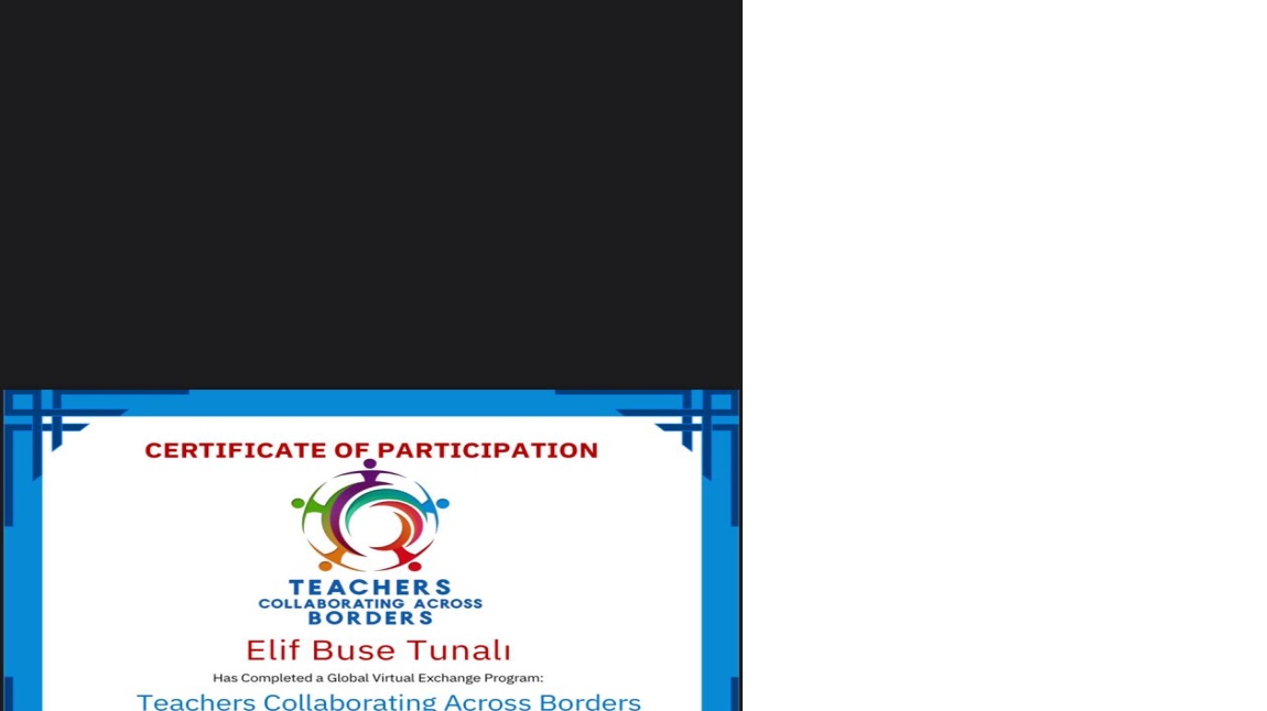 Öğrencilerimiz Uluslararası Bir Projede Yer Aldı: Teachers Collaborating Across Borders (TCAB)
